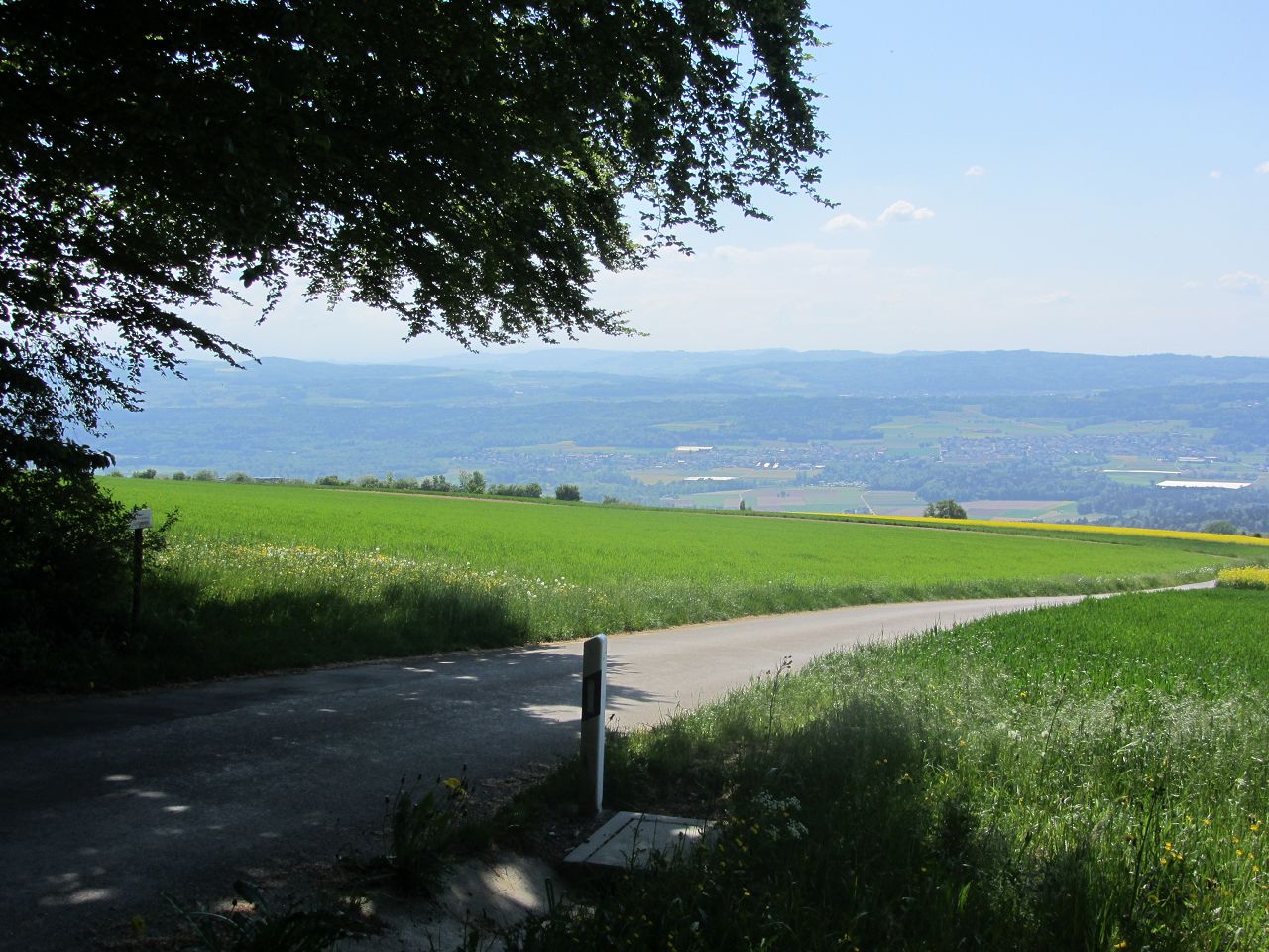 Aussicht von Bellikon