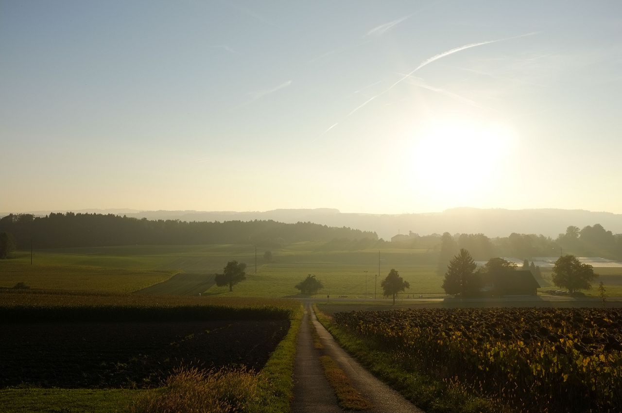 Morgensonne bei Künten