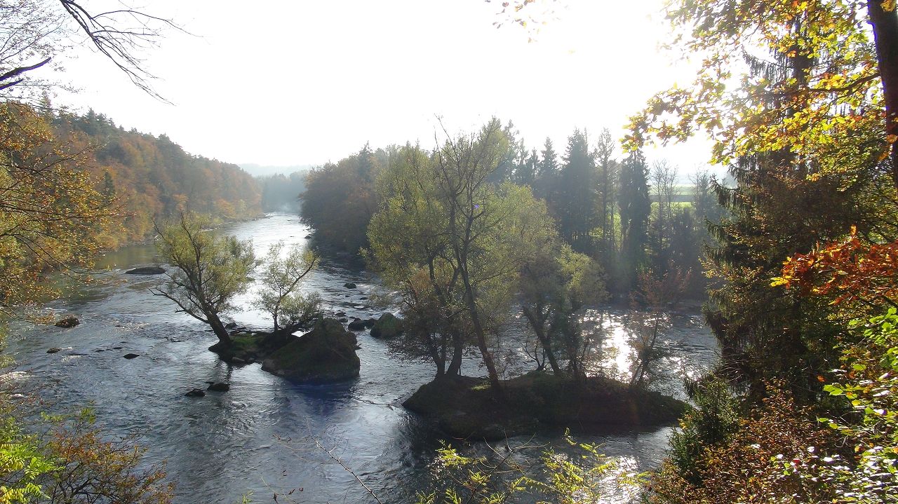 Foto Reuss bei Stetten