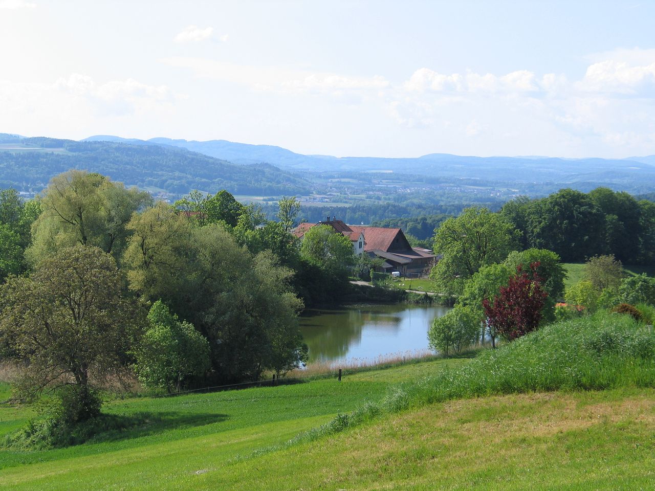 Foto Gyrenweiher Widen